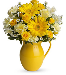 Teleflora Sunny Day Pitcher of Cheer from Krupp Florist, your local Belleville flower shop